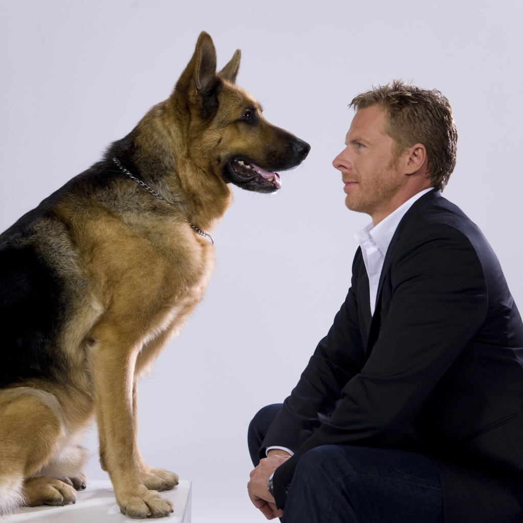  Комиссар Рекс