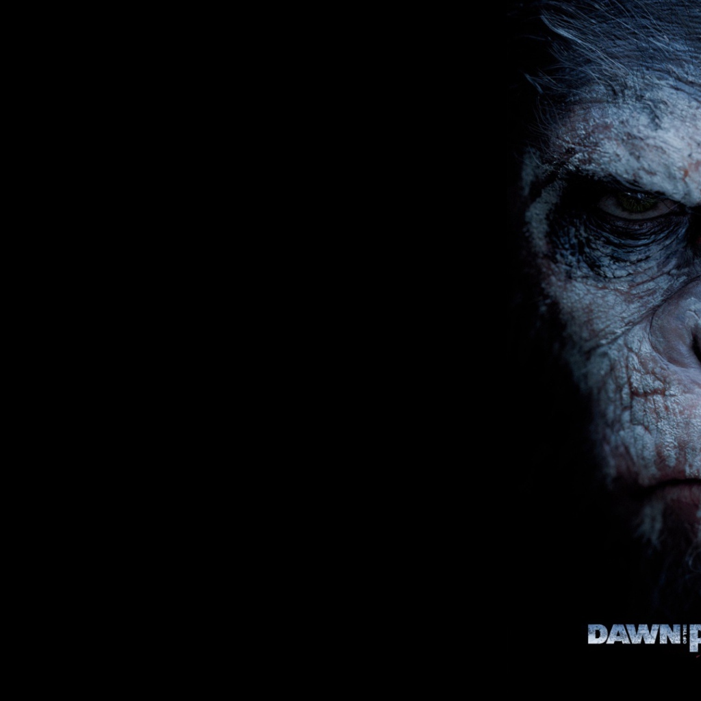 Кадр из фильма Планета обезьян Революция