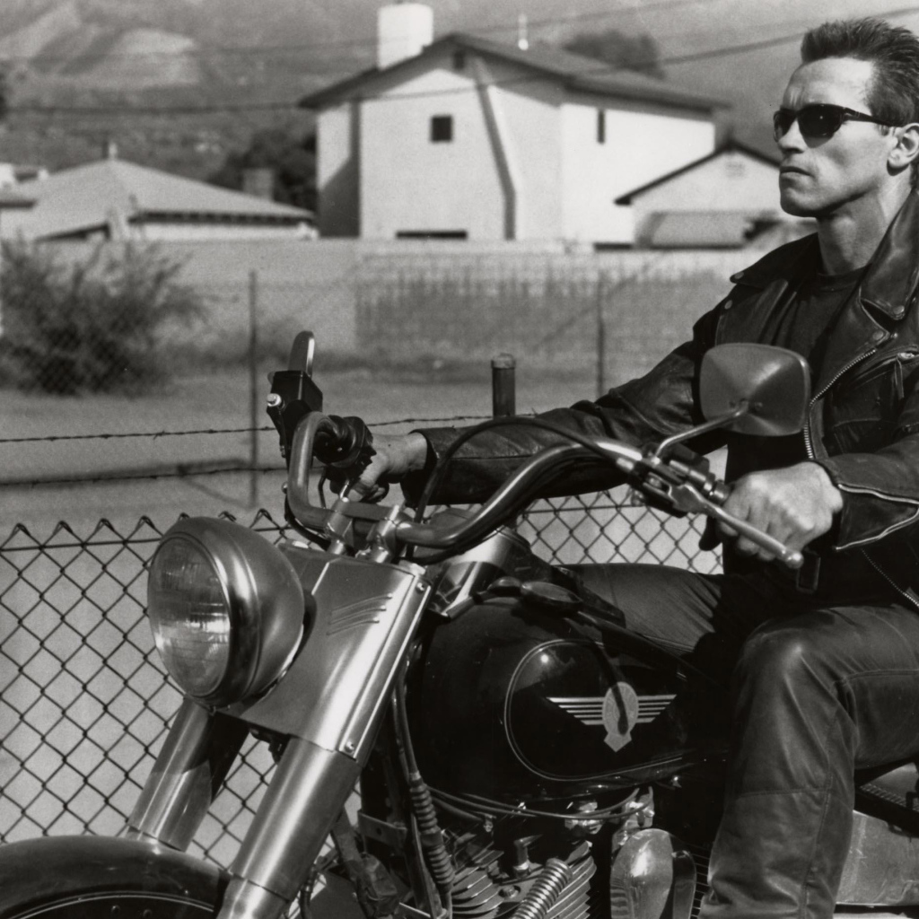 Терминатор 2 судный день Арнольд Шварценеггер