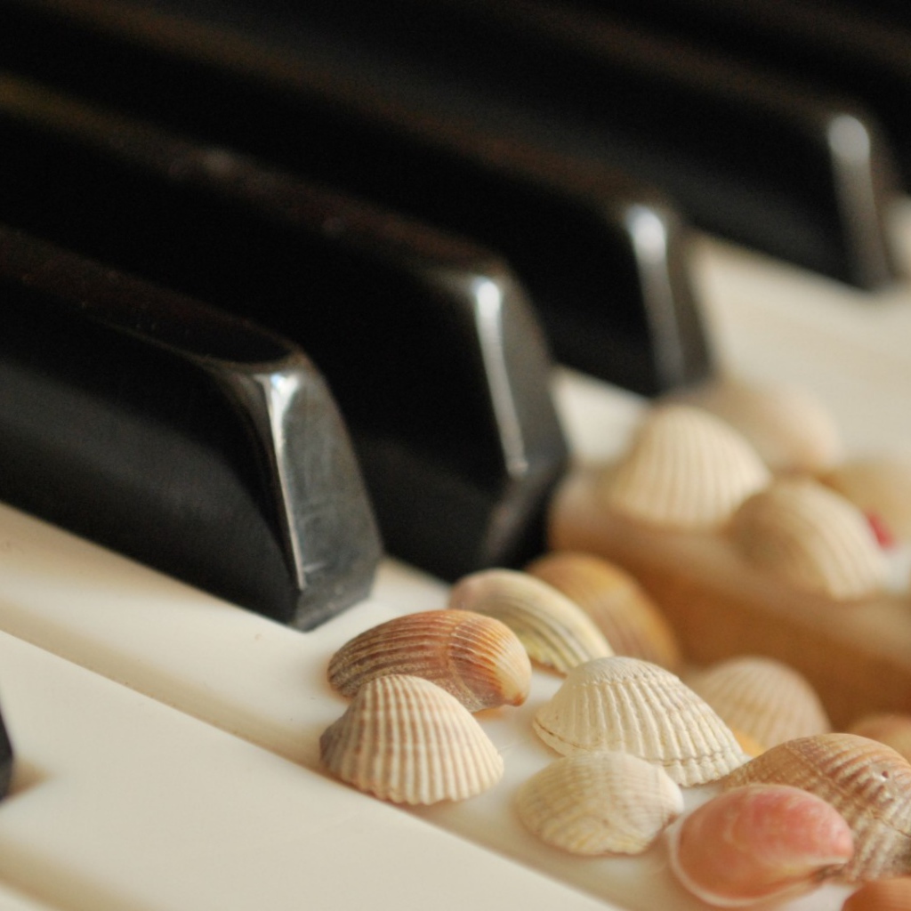 Клавиши с ракушками