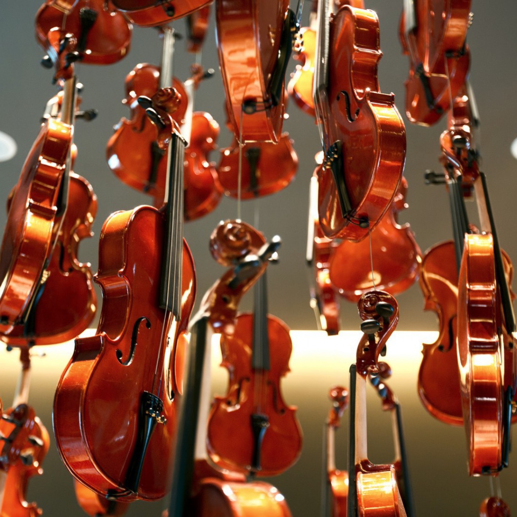 Дождь из скрипок