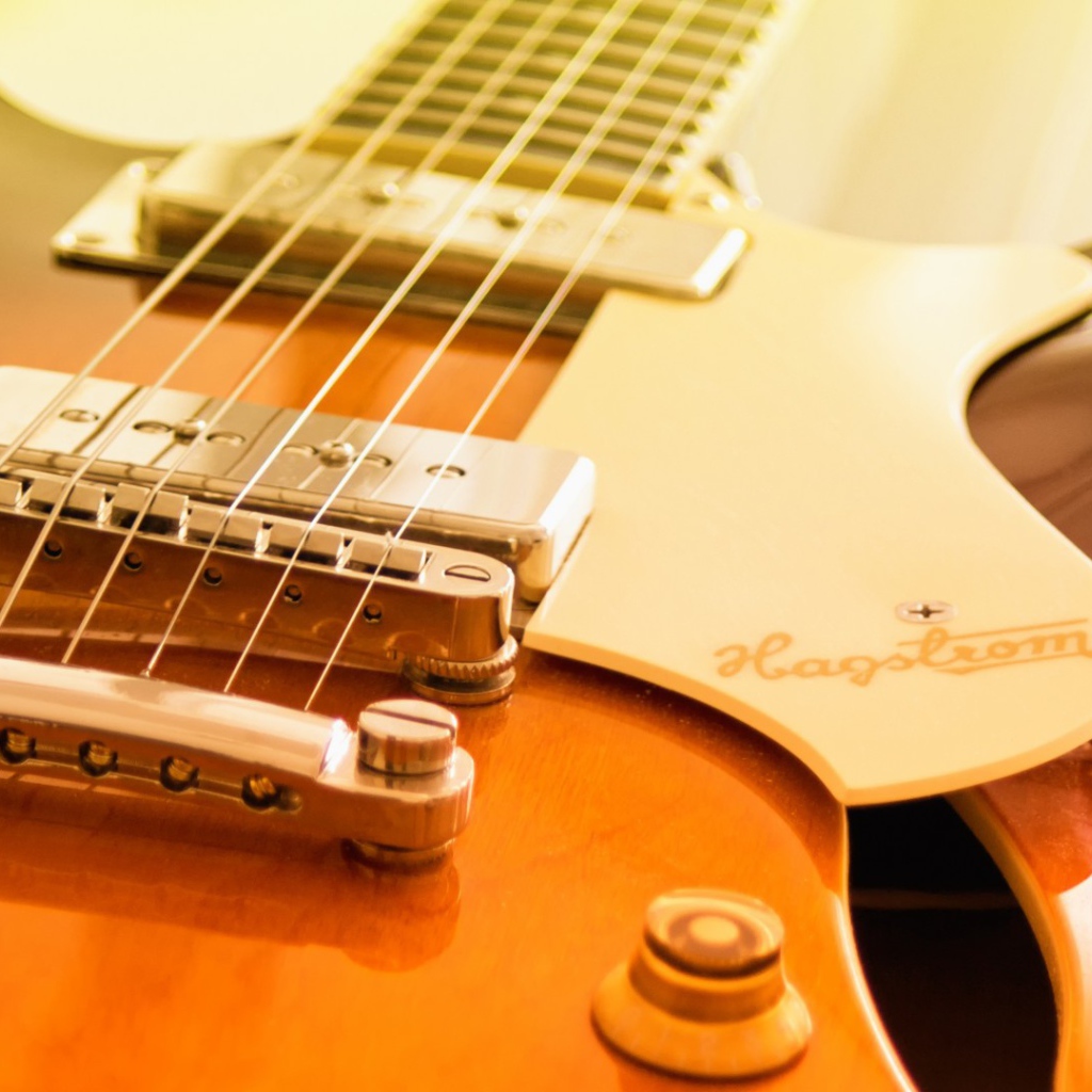 Шестиструнка