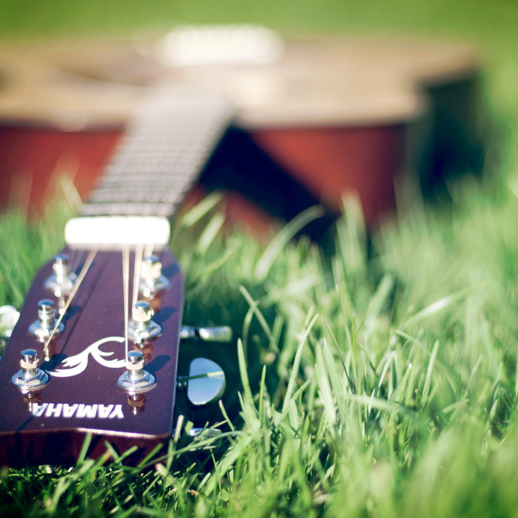 Гитара лежит на траве