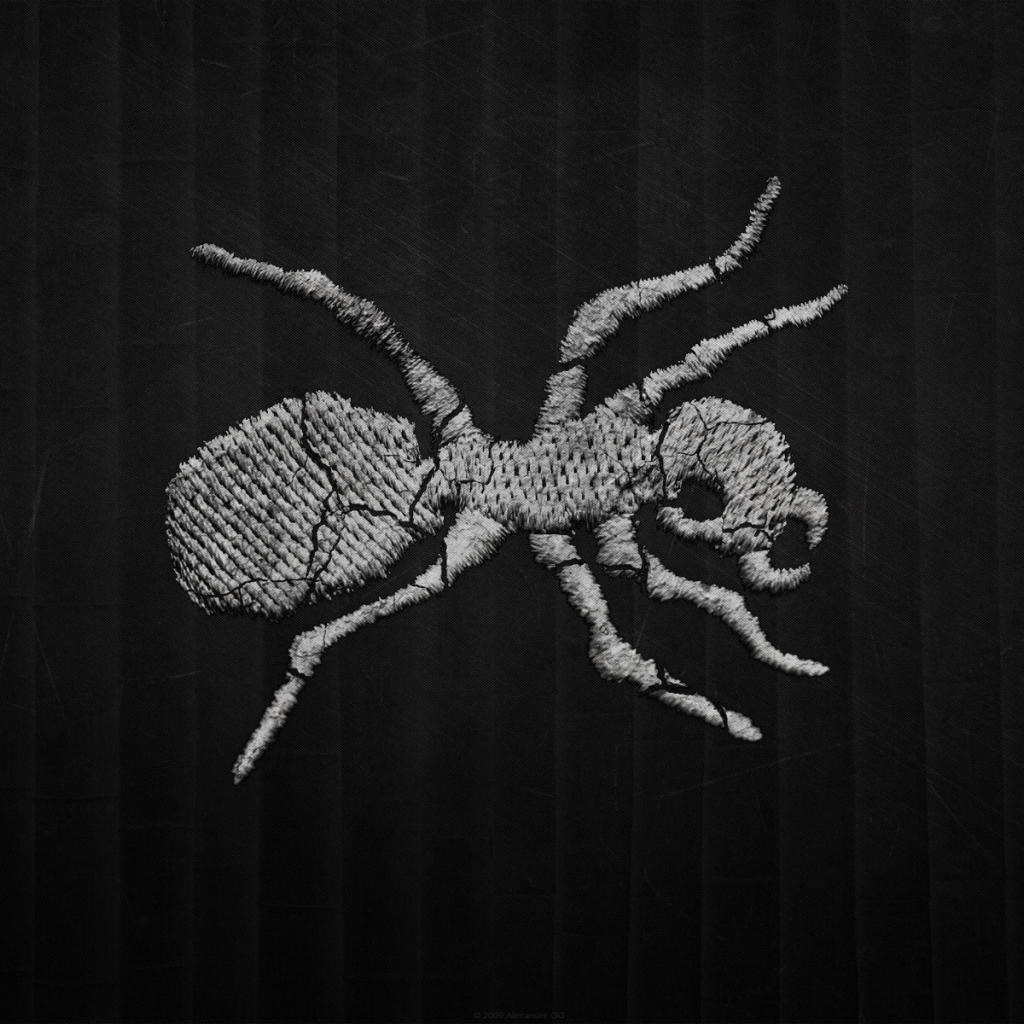 Муравей на темном фоне