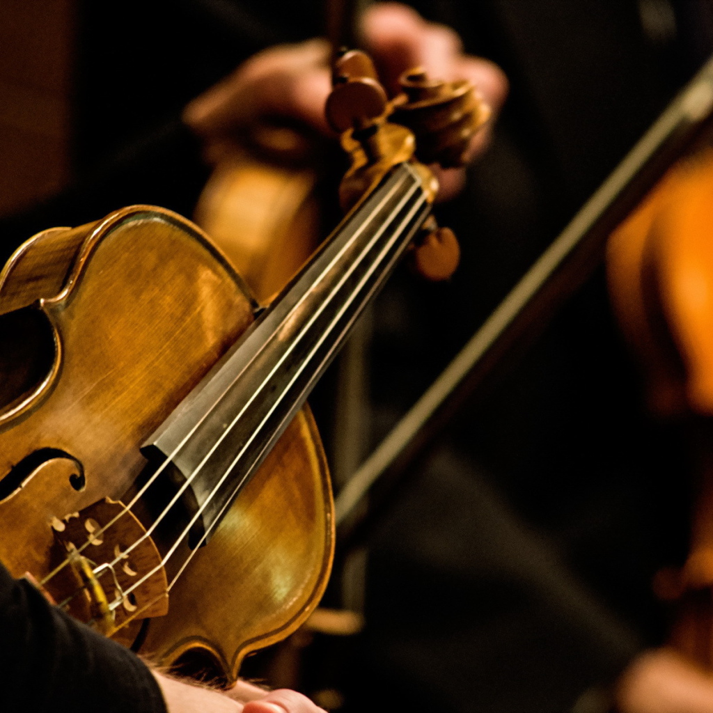 Струны скрипки