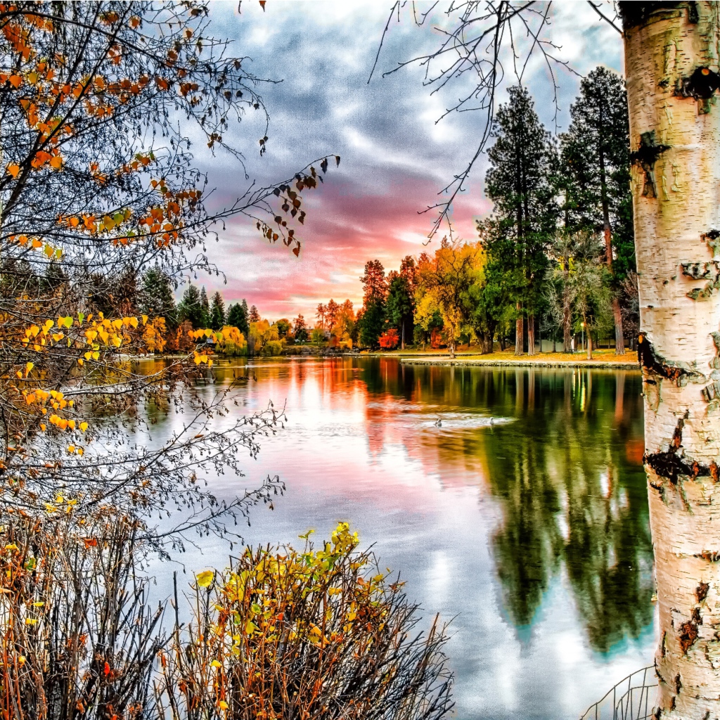 Березы у реки