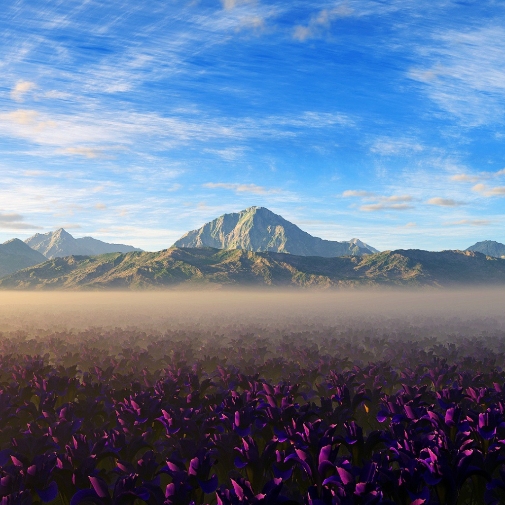 Цвета природы