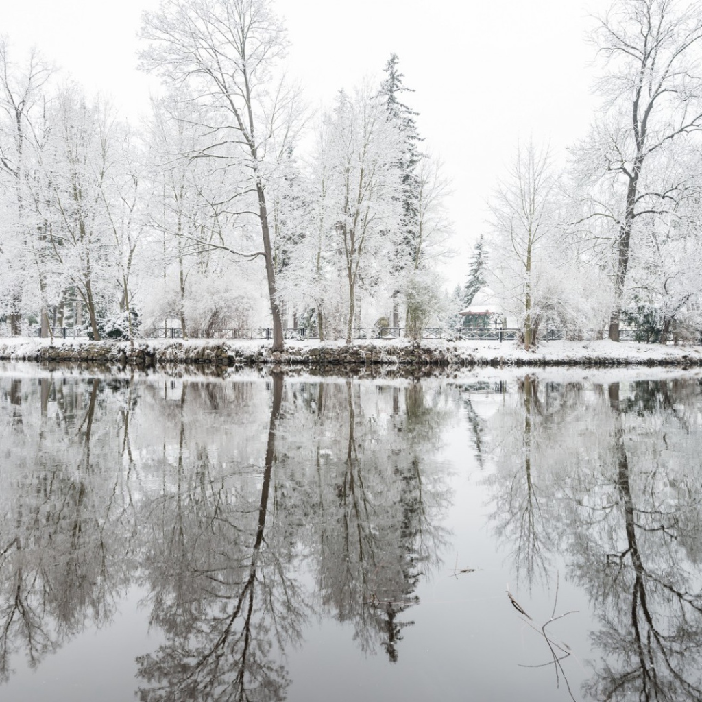 Oтражения деревъев в снегу