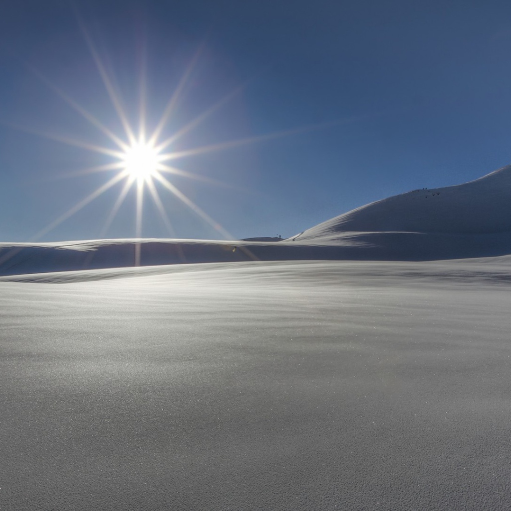 Звезда пустыни