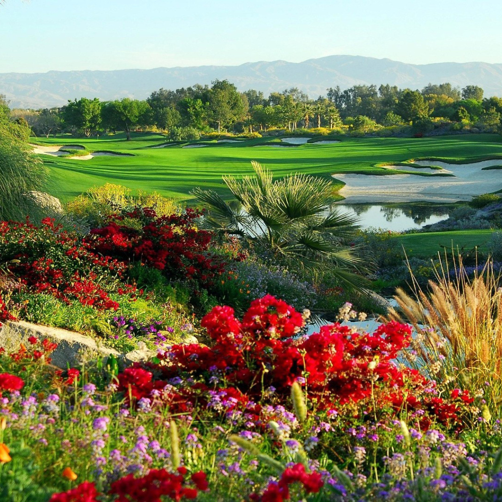 Сказочный сад