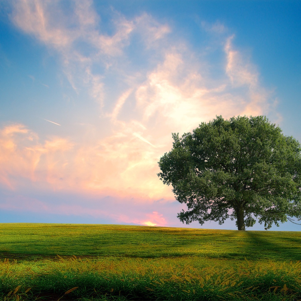 Свежая природа