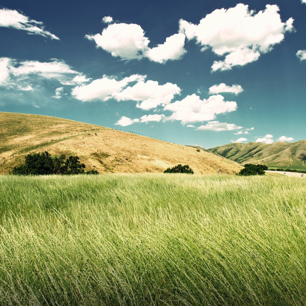 Зеленая долина