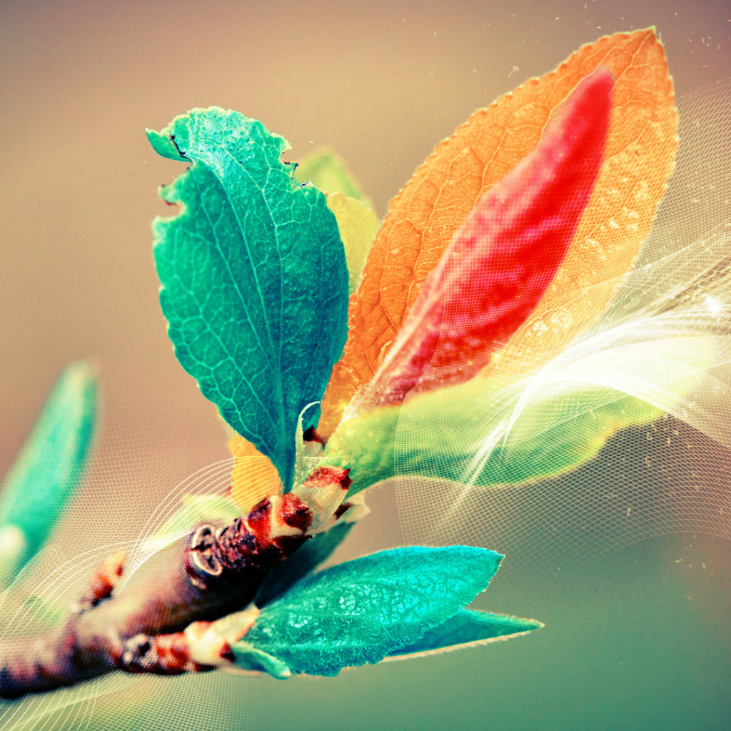 Листья в поляризованном свете