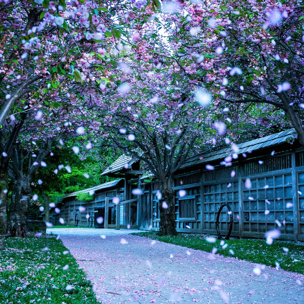 Парк в Канаде