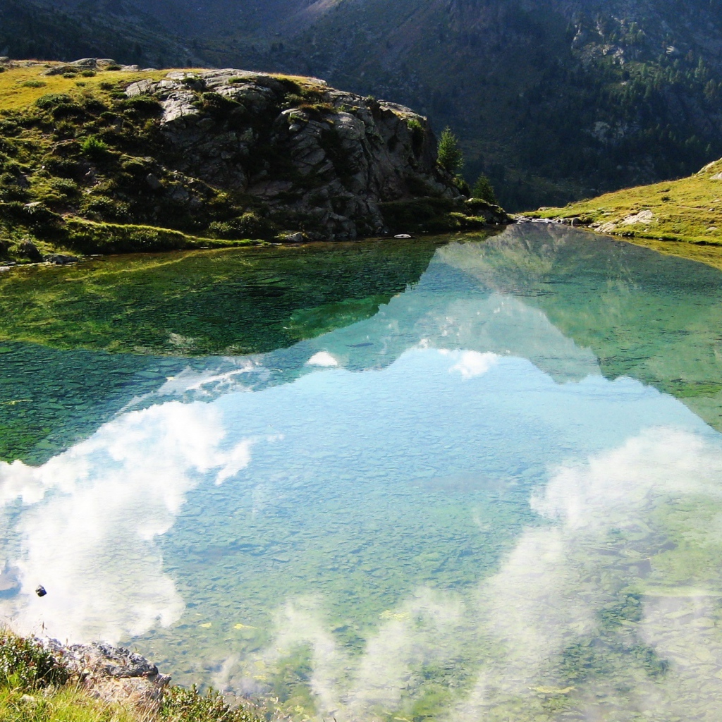 Размышления природы