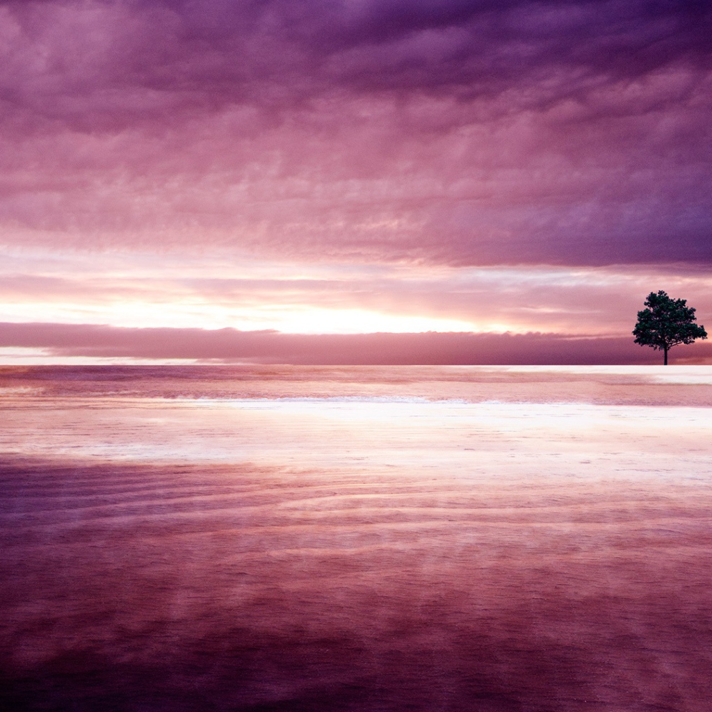 Фиолетовая природа 