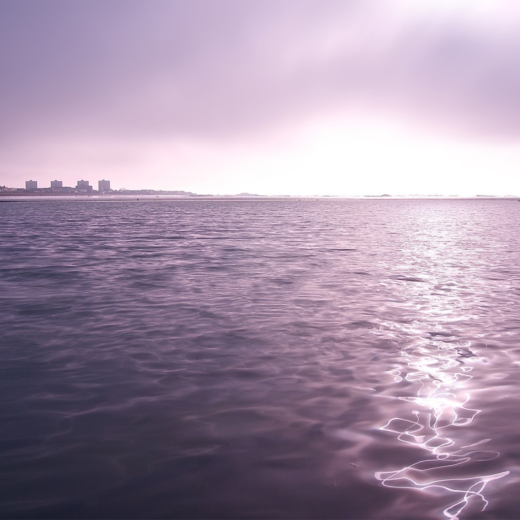 Фиолетовые сумерки