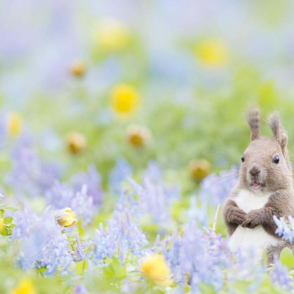 Пушистик с цветочками