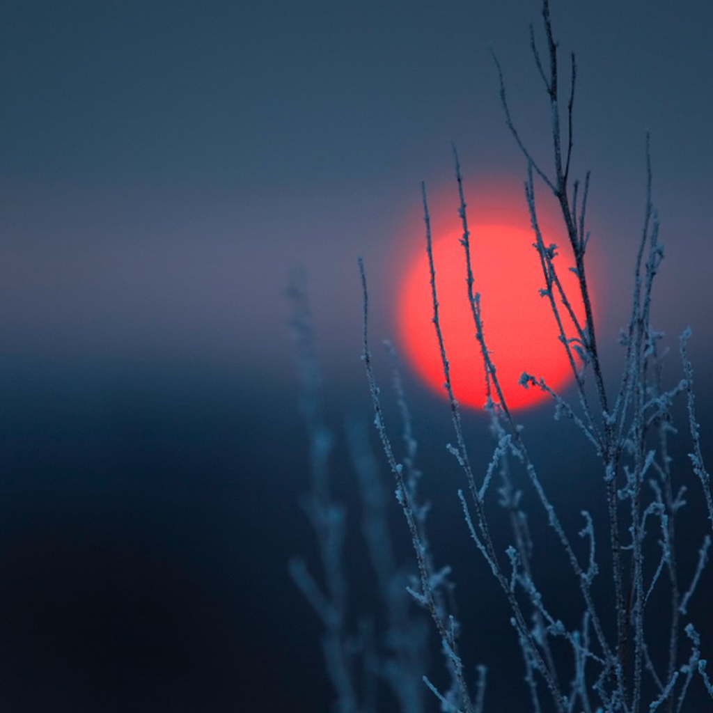 Kрасное пятно на  тёмном фоне
