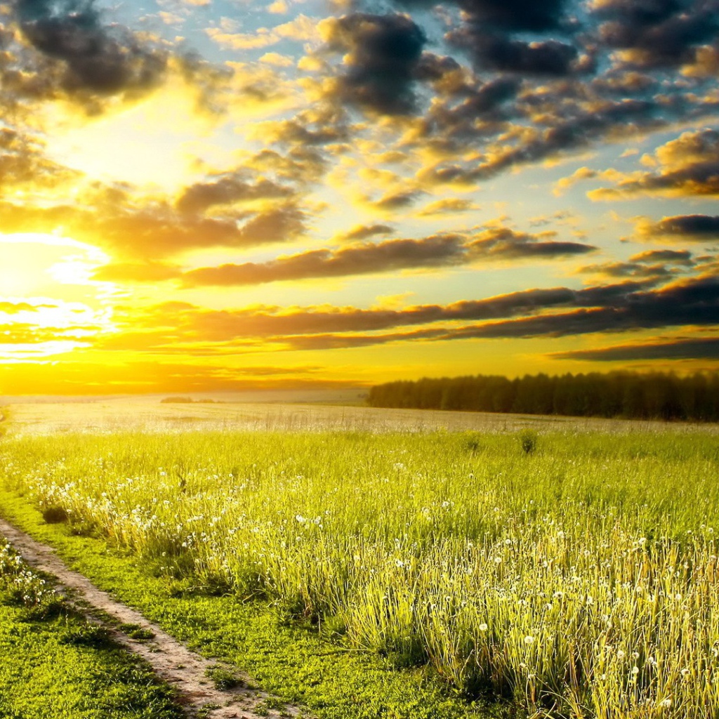 Дорога на закат