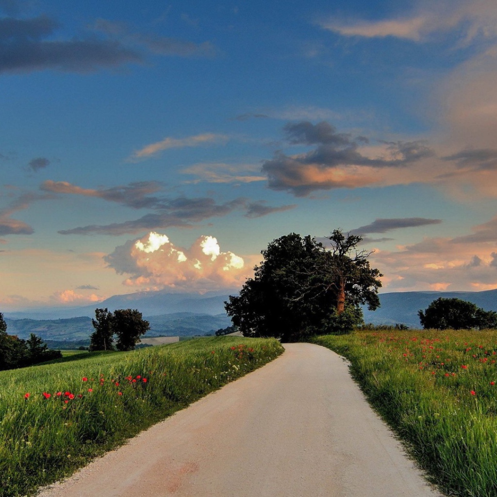 Дорога сельской местности