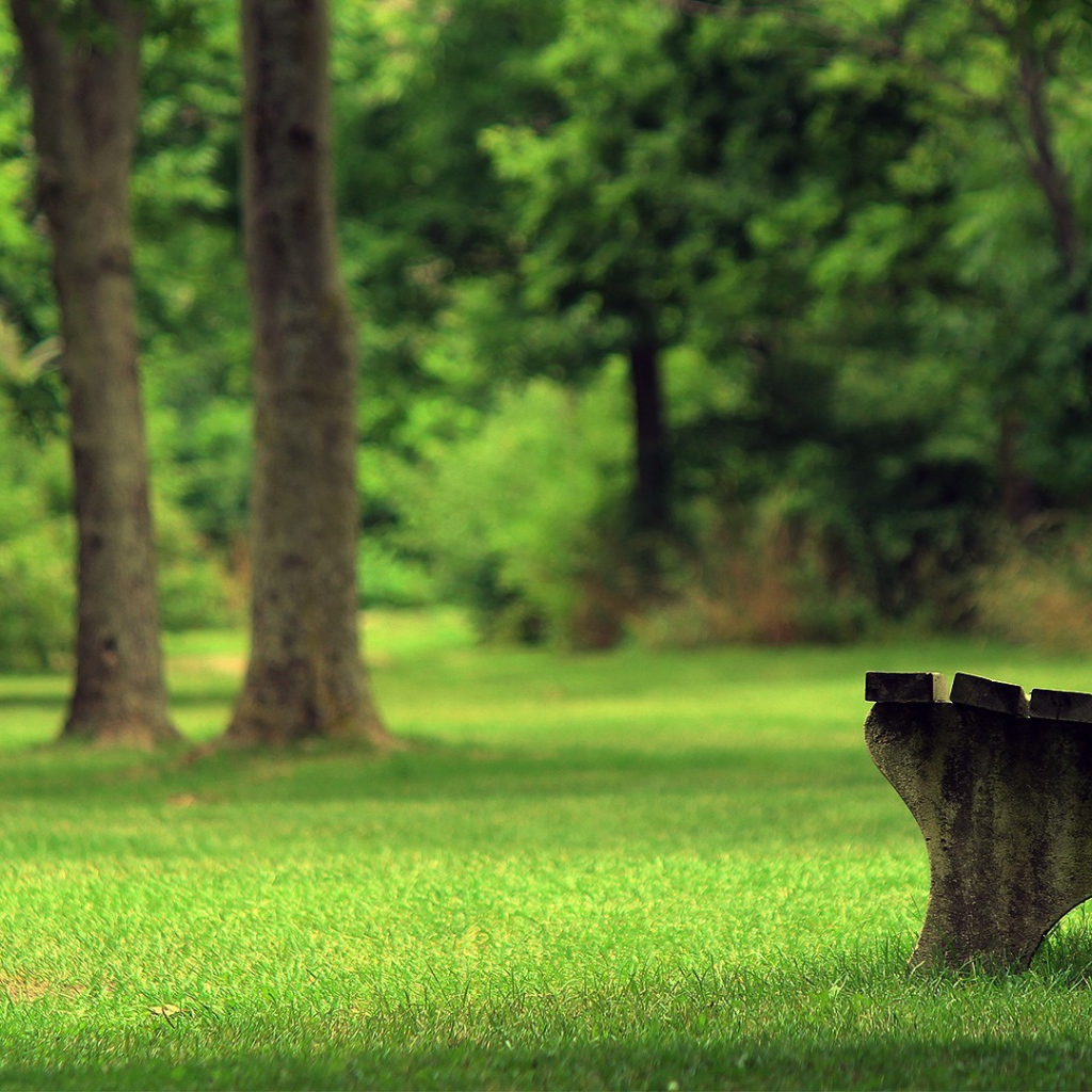 Бетонная скамъя в парке