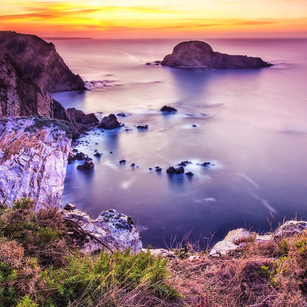 Розовая природа