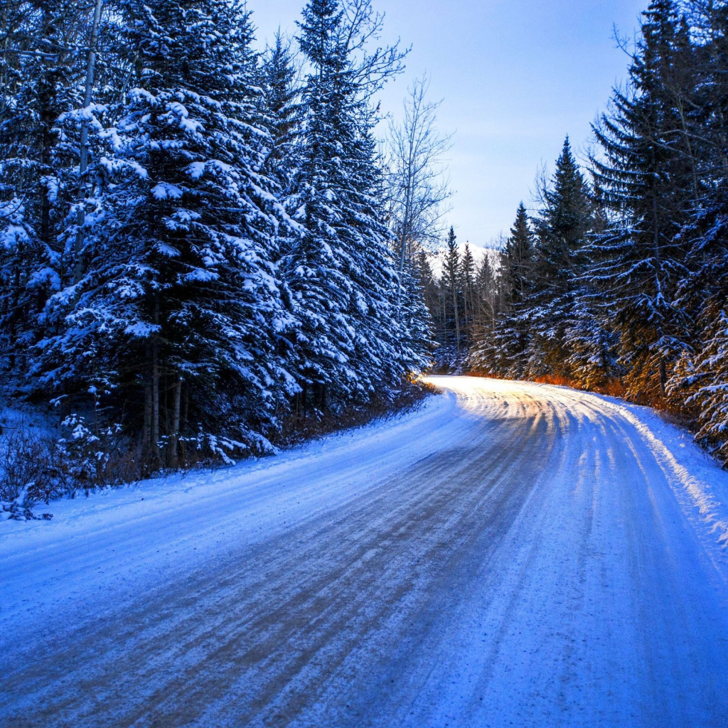 Дорога среди заснеженного леса