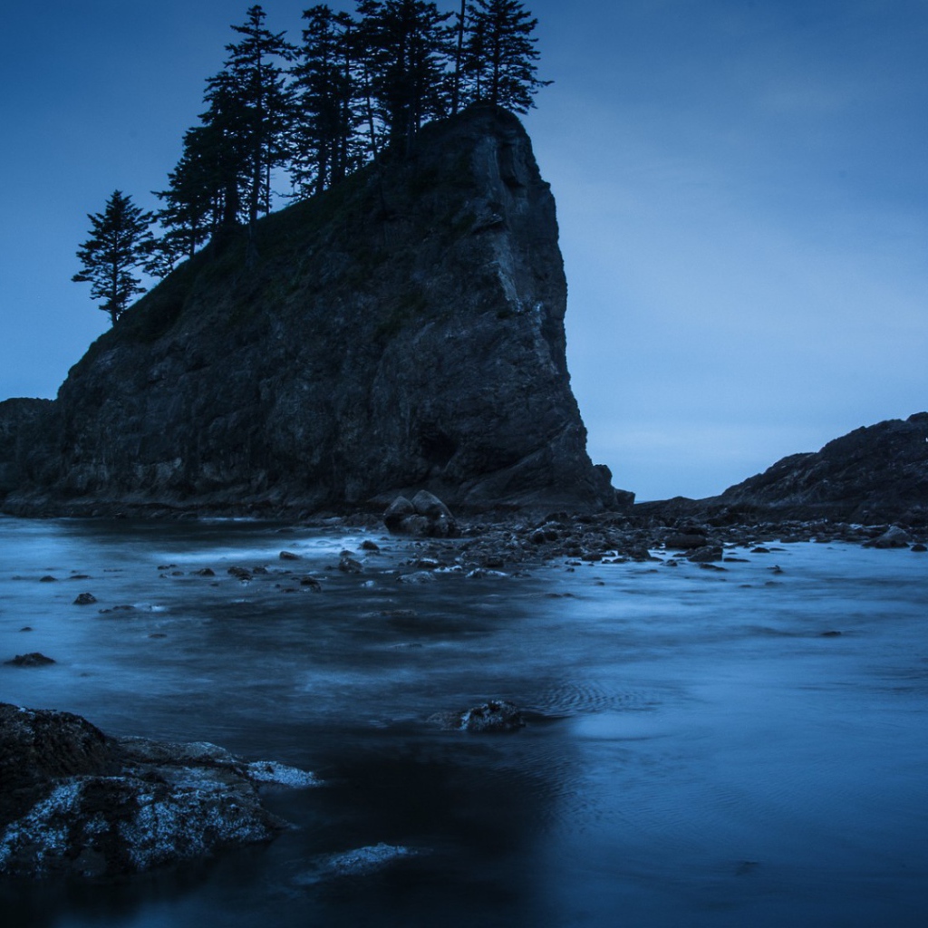 Деревья на прибрежной скале