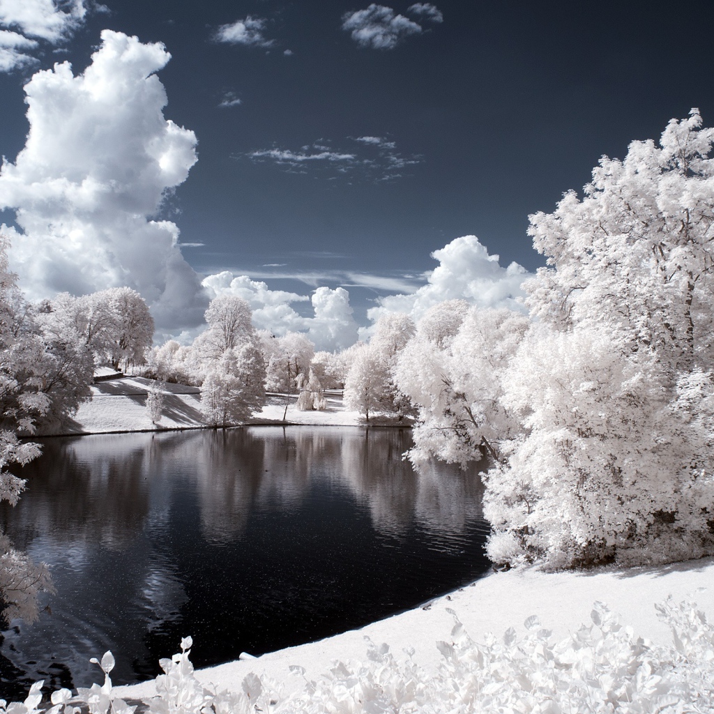 Заснеженный парк в Норвегии 