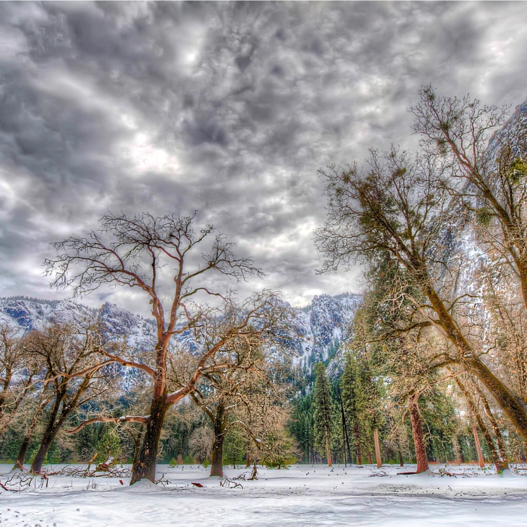 Зима в национальном парке