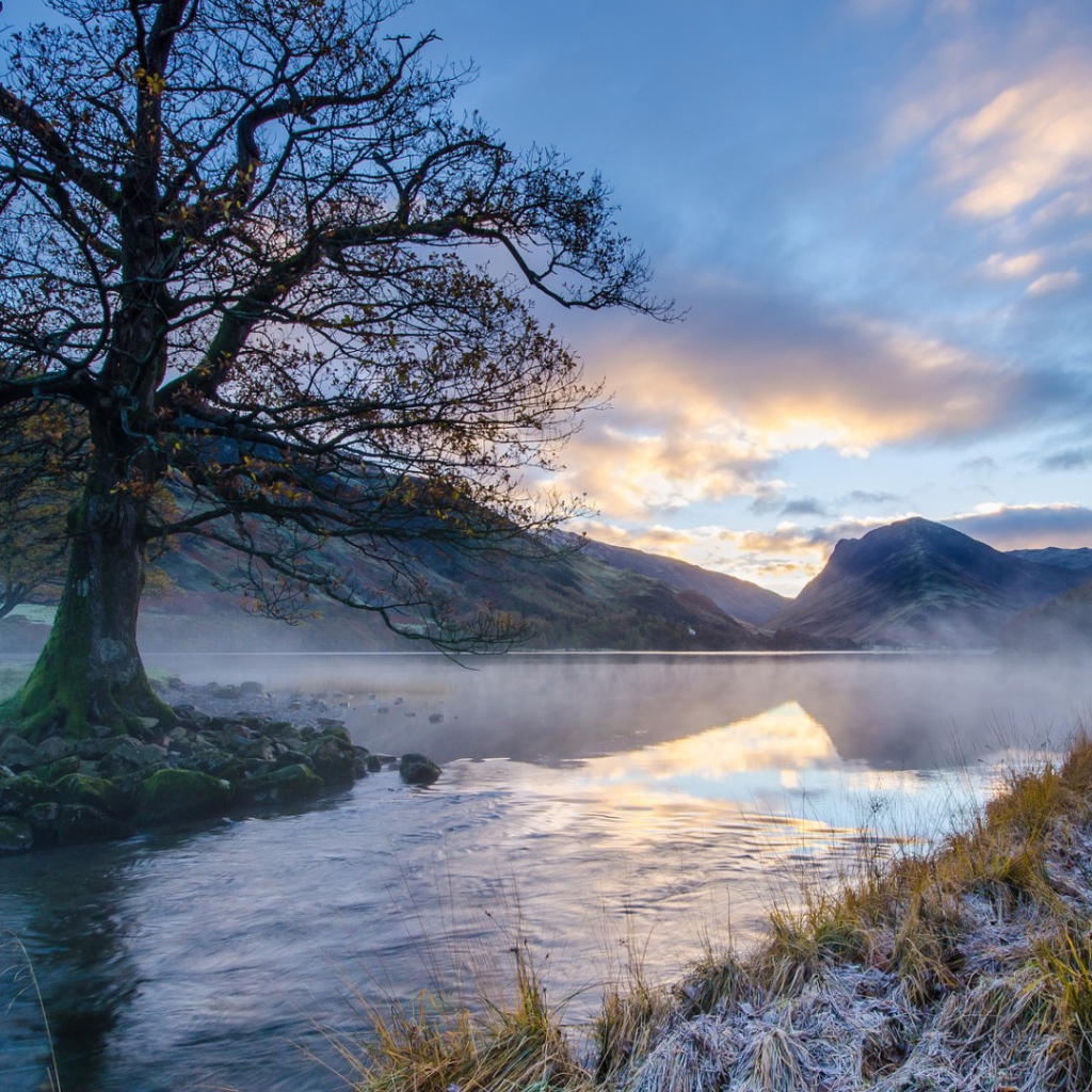 Ил на берегу