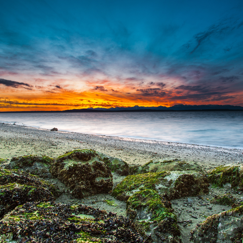 Алки пляж в Западном Сиэтле, штат Вашингтон, США