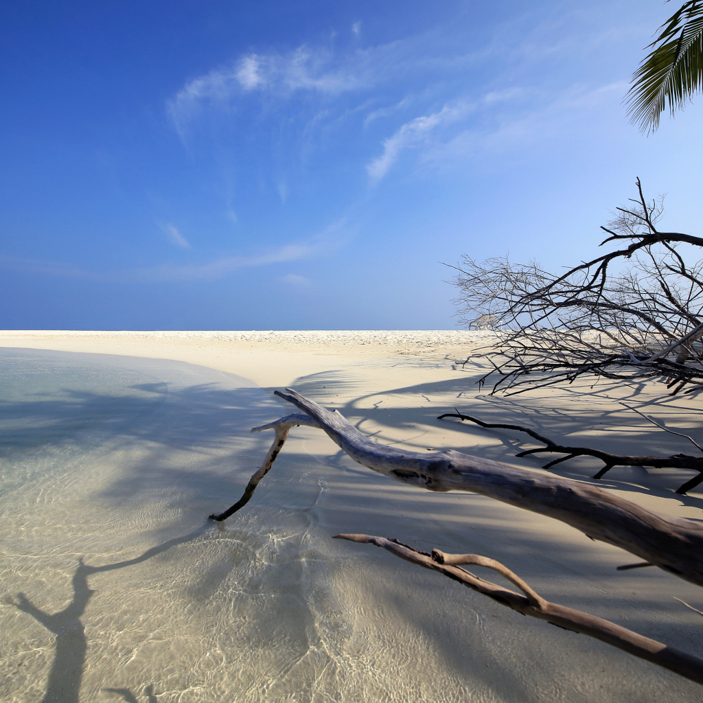 Красивый пляж под голубым небом