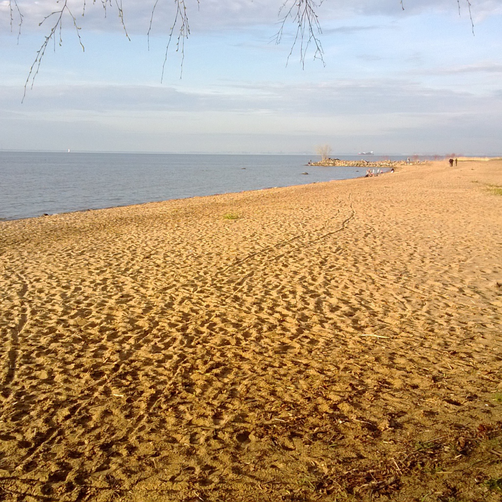 Красивый вид на золотой пляж