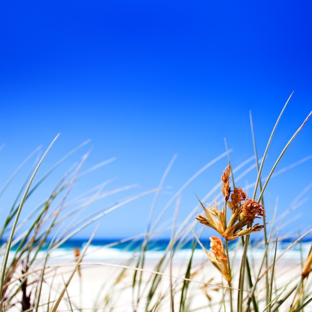 Чистое небо над пляжем