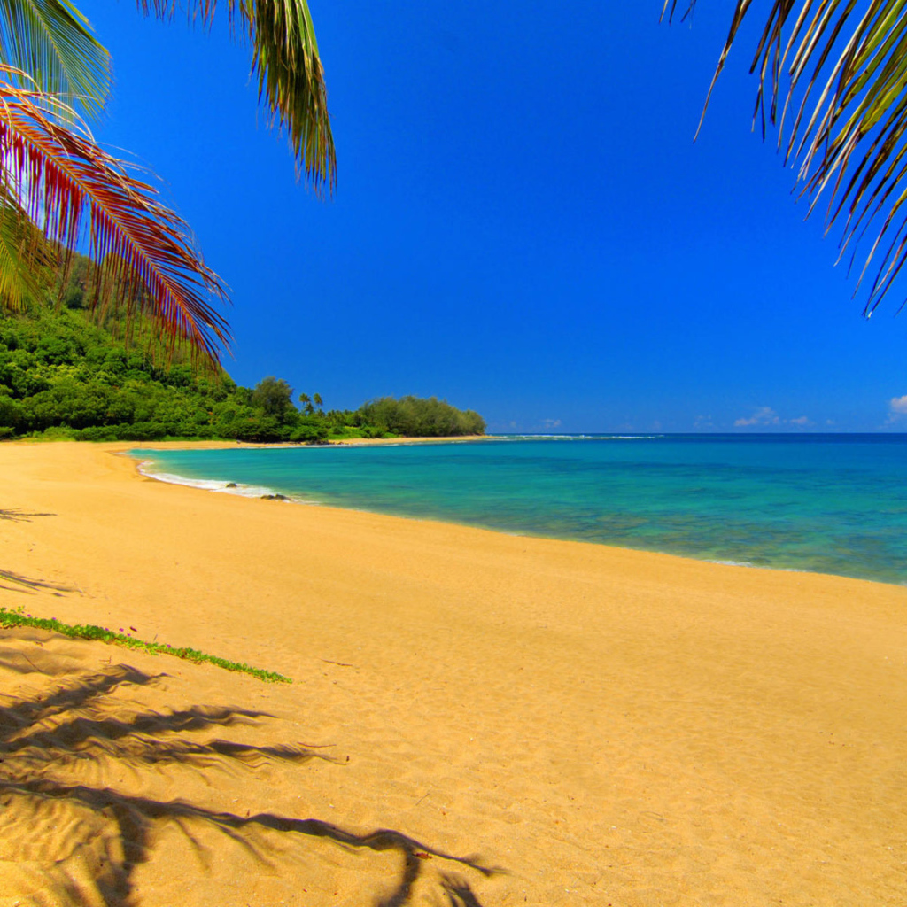 Золотой пляж на Крите