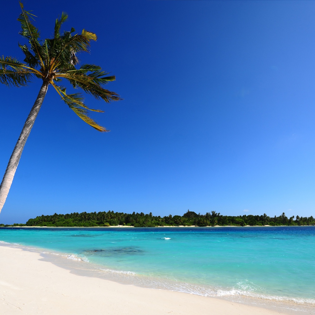 Пляж на Мальдивах 