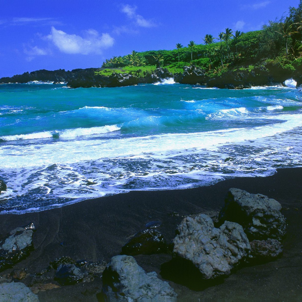 Красивый вид на черный пляж