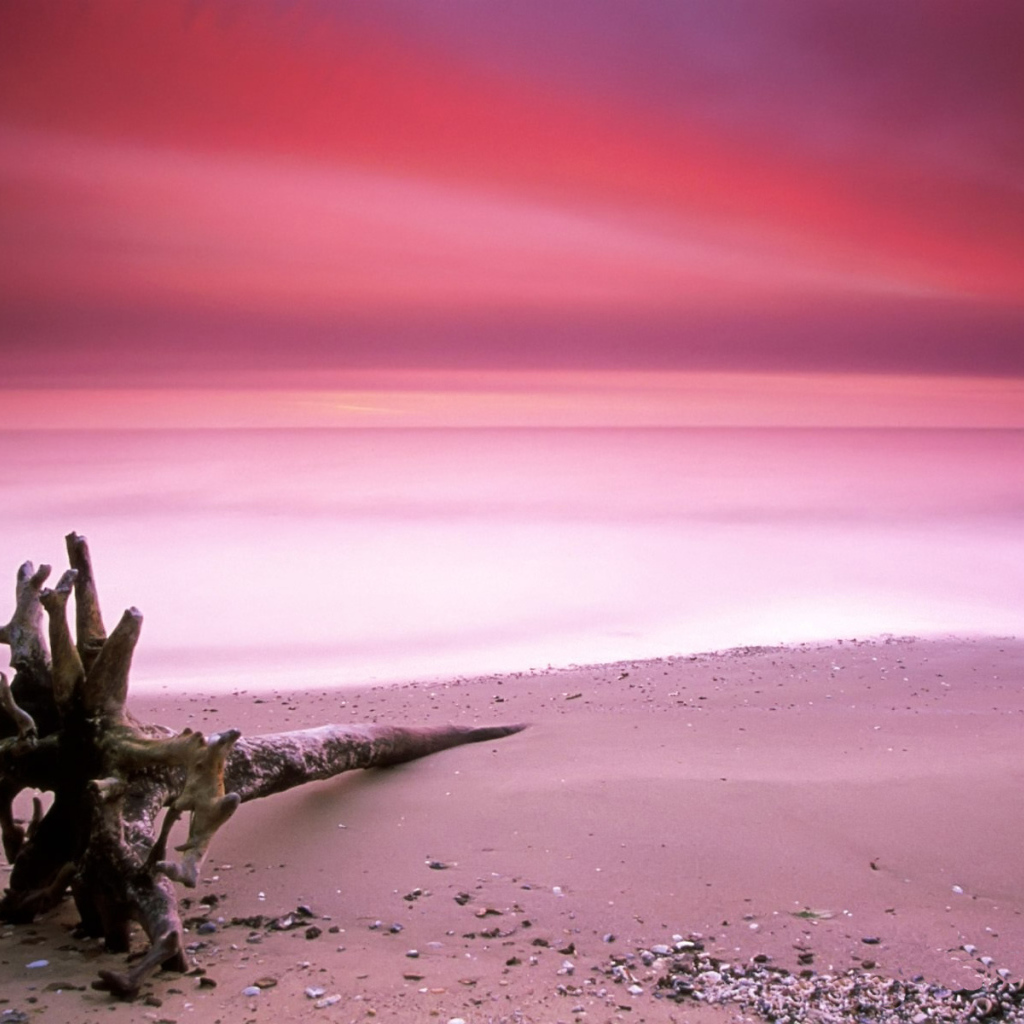 Пляж с розовым песком