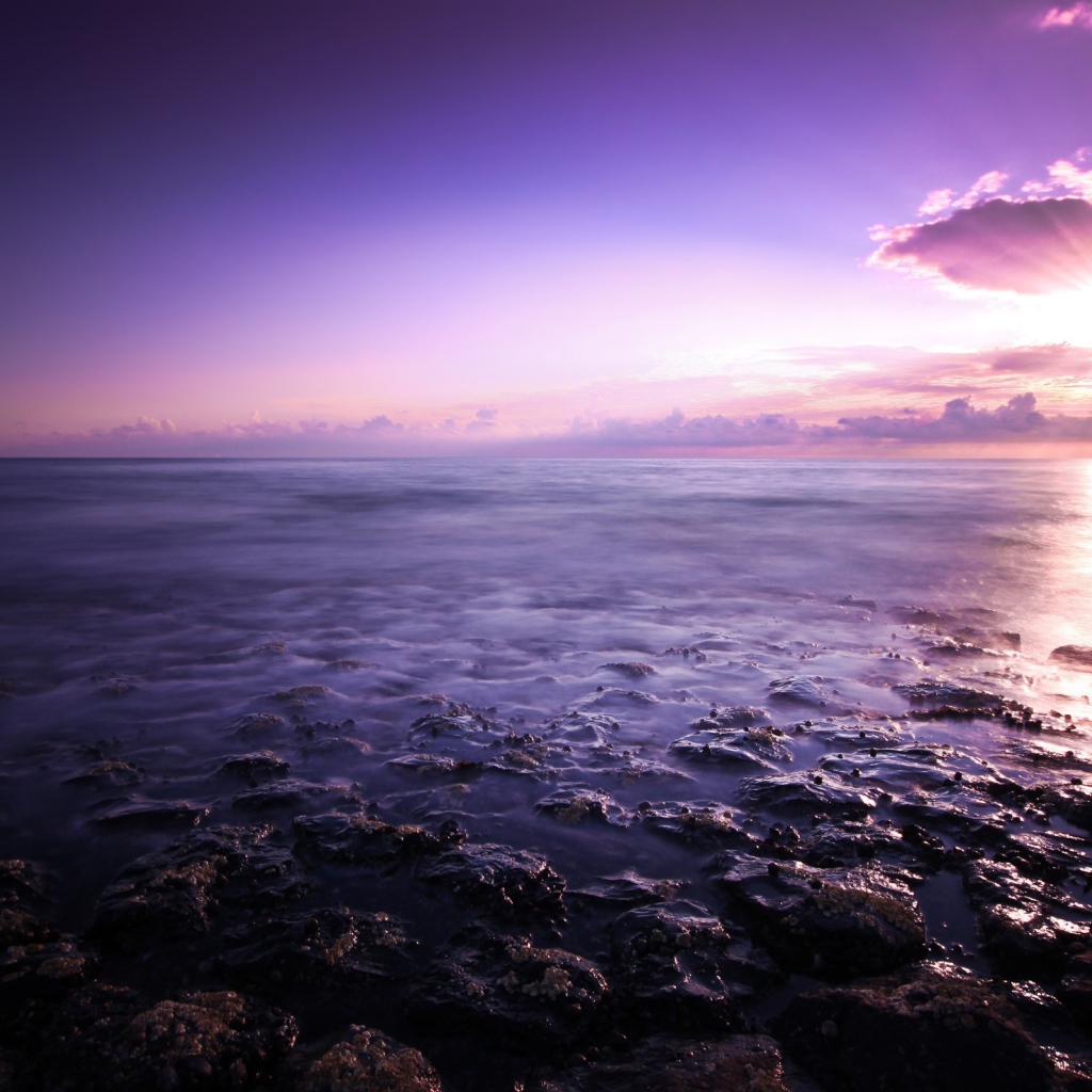Purple seascape