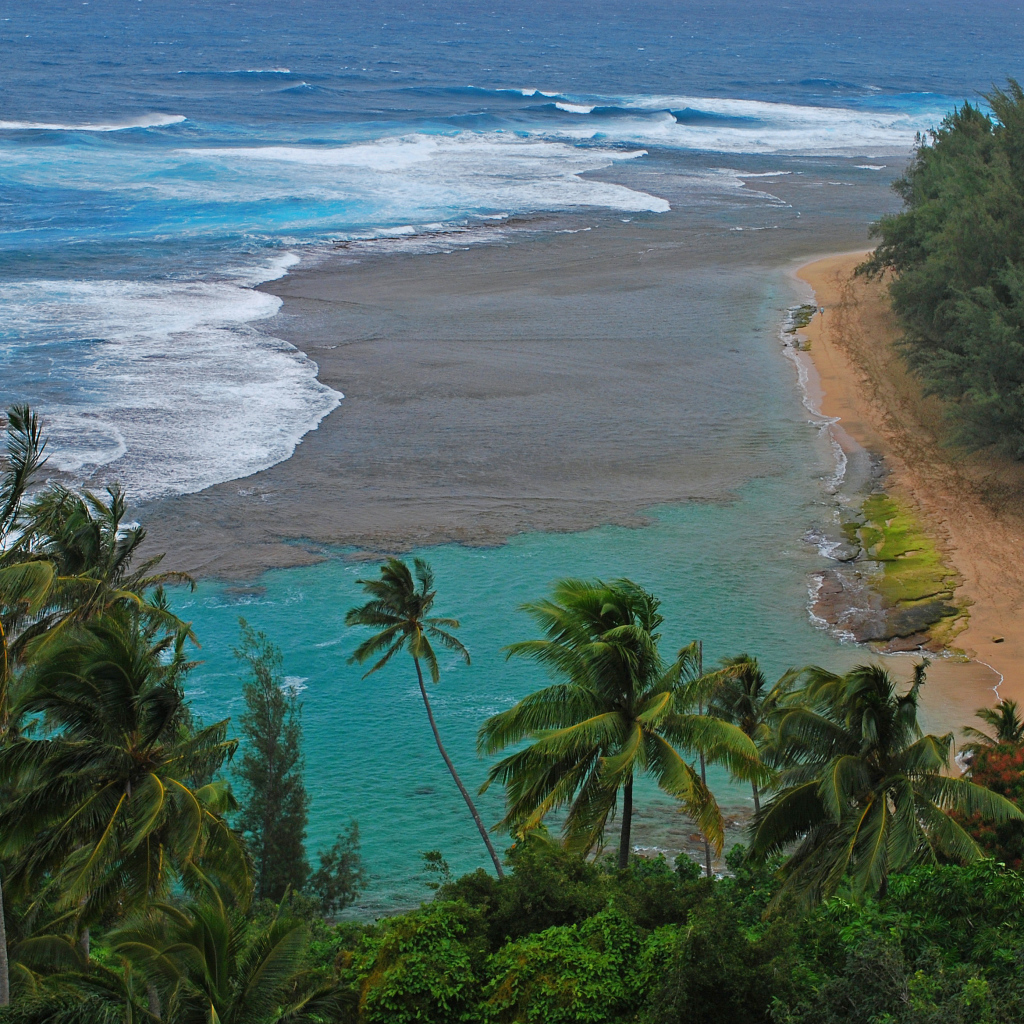 Дикий пляж у моря