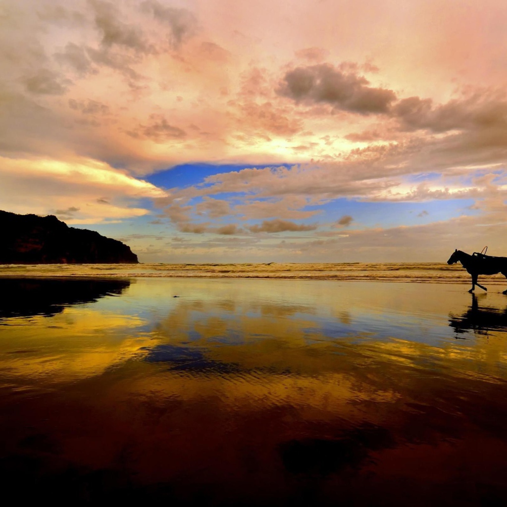 Катание на лошади по пляжу