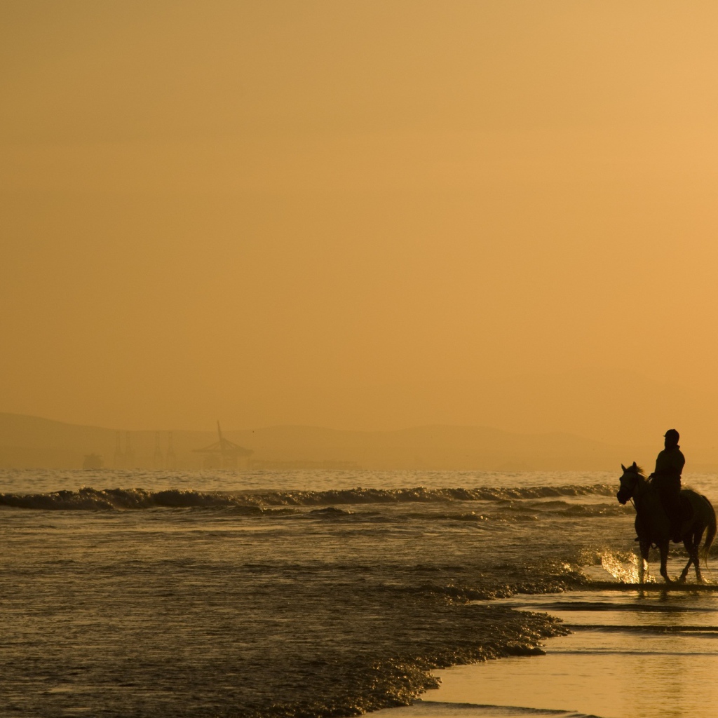 Всадник на пляже