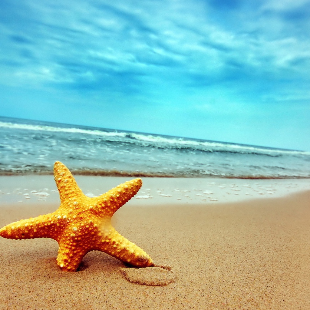 Морская звезда в песке пляжа