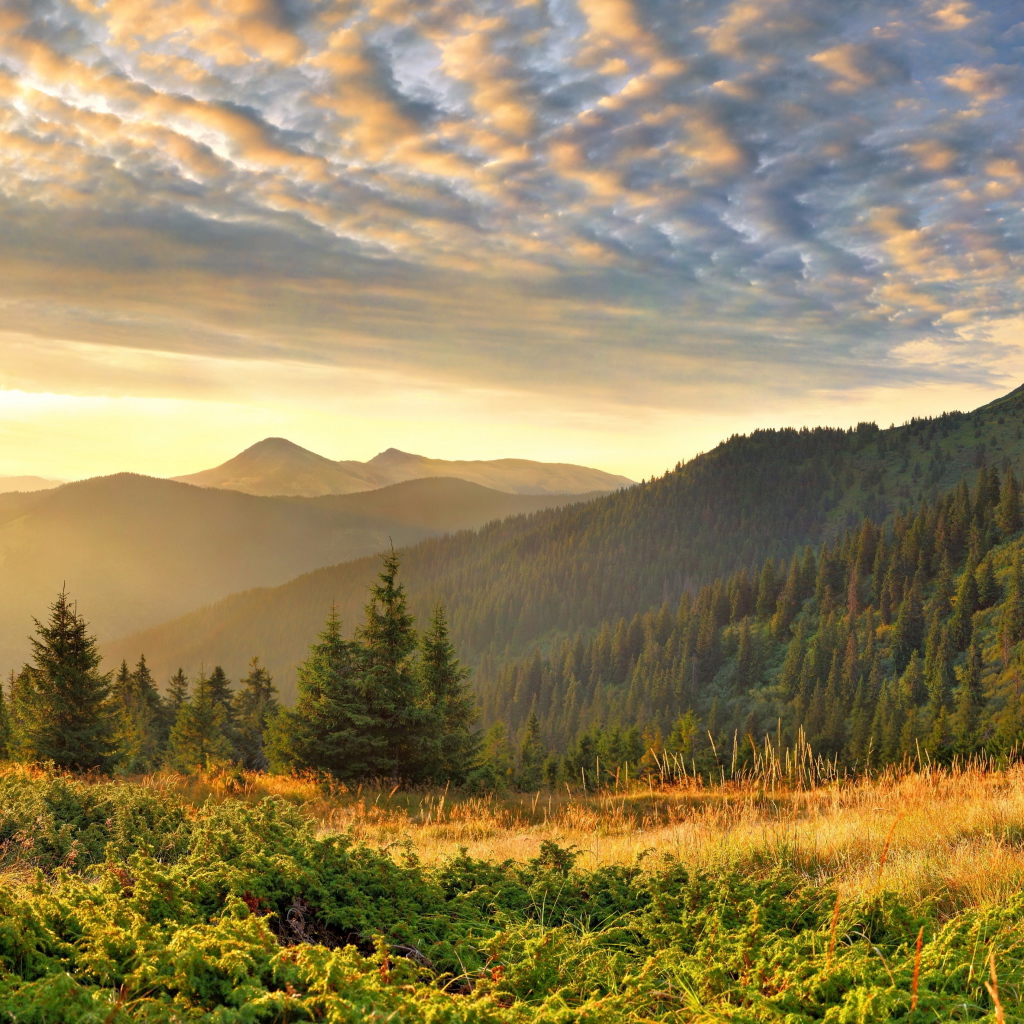 Облака в горах