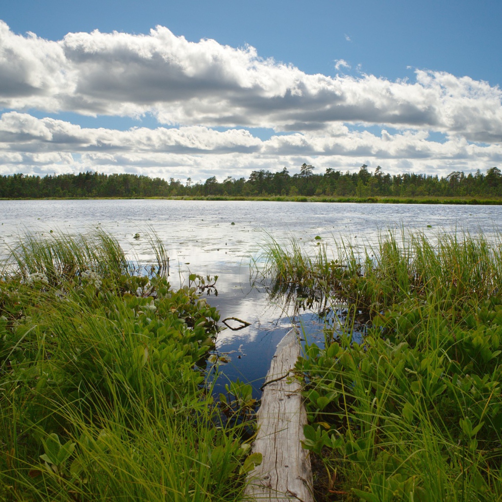 Облака над озером