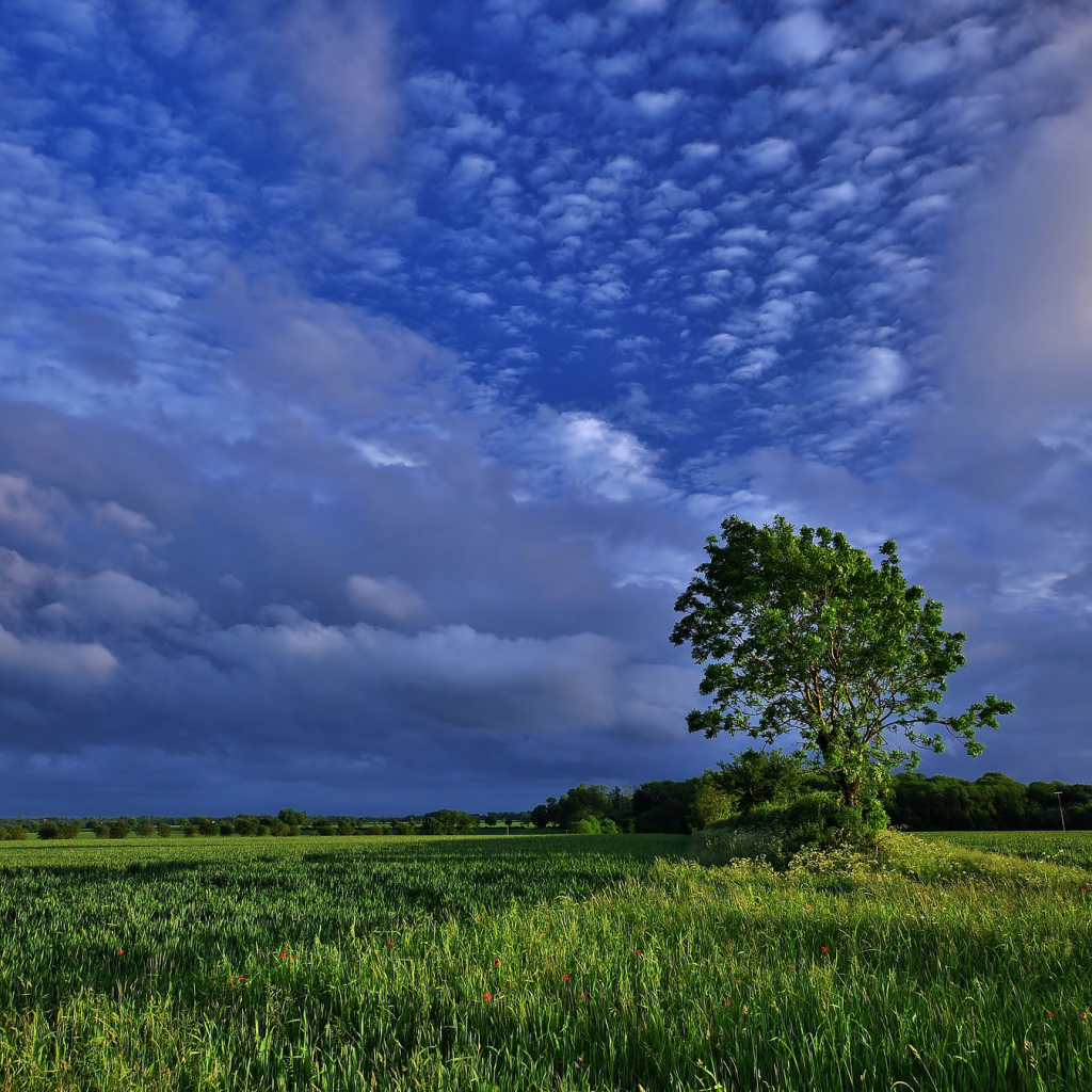 Облачное небо