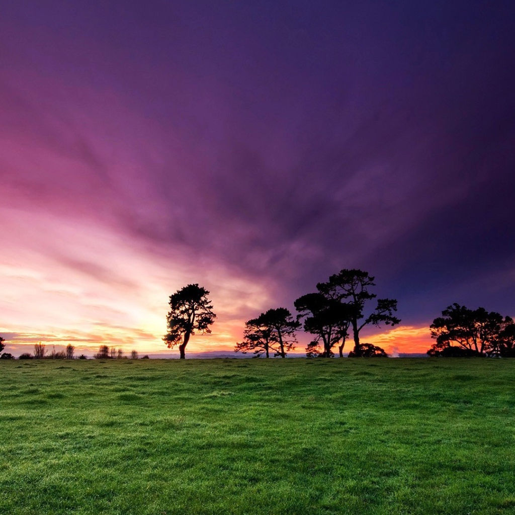 Утренние лучи солнца