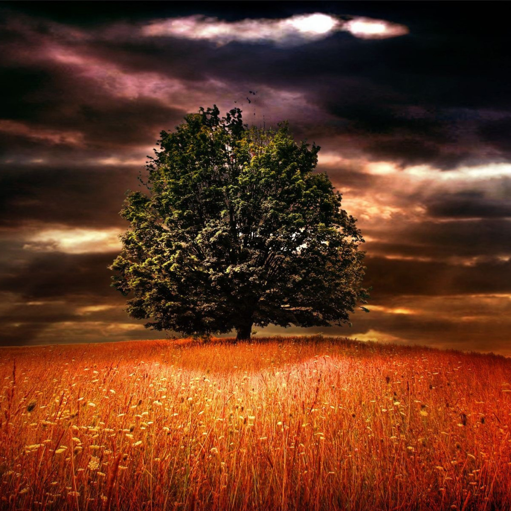 Лучи солнца через облака